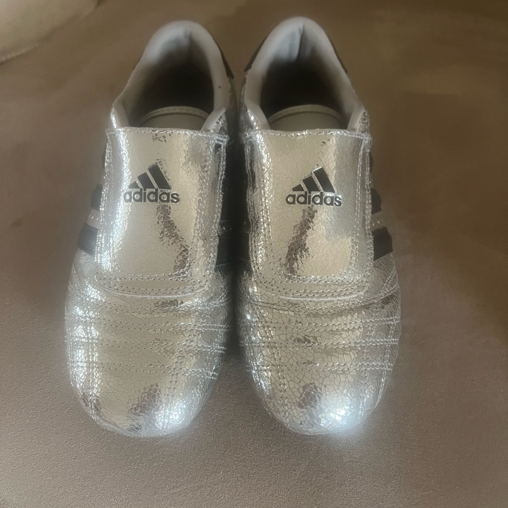 Adidas Silver Sneakers with Black Stripes
